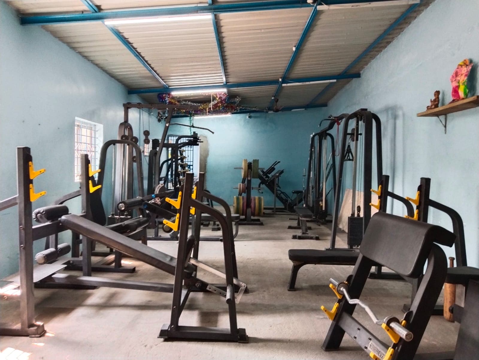 Professional Olympic Weightlifting Platforms